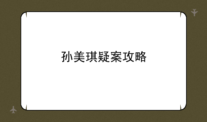 孙美琪疑案攻略