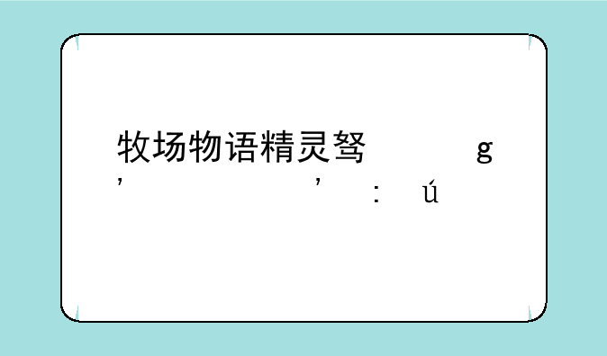 牧场物语精灵驿站肉丸粉获得