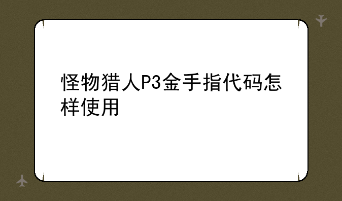 怪物猎人P3金手指代码怎样使用