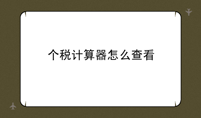 个税计算器怎么查看