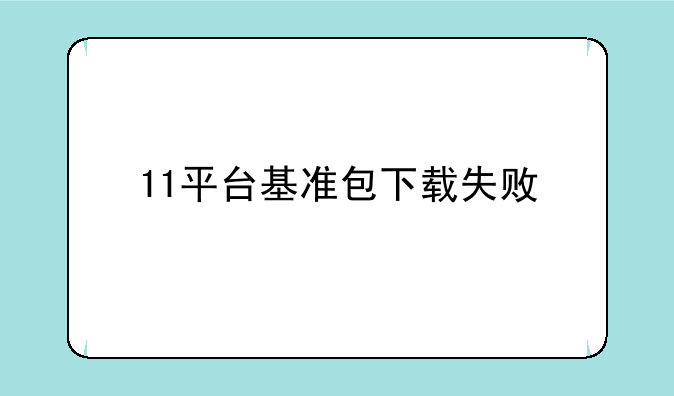 11平台基准包下载失败
