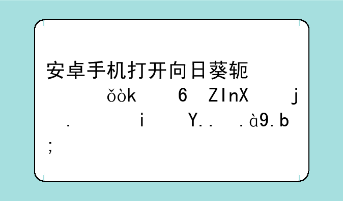 安卓手机打开向日葵软件就会意外停止，是为什
