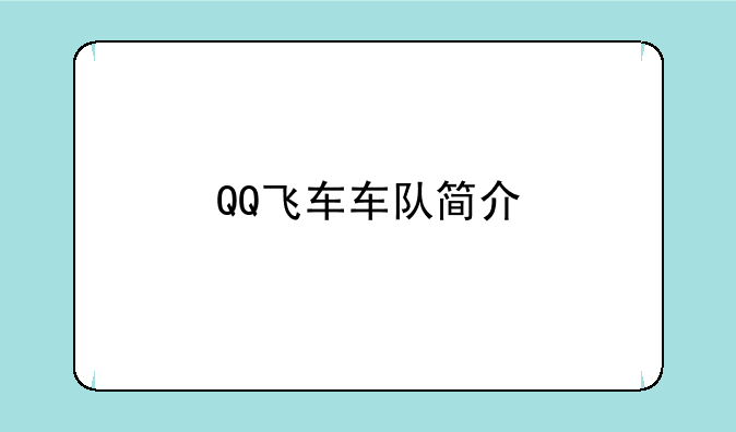QQ飞车车队简介