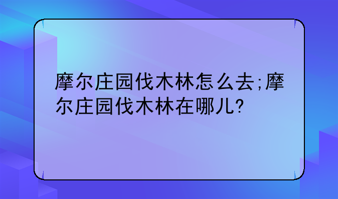 摩尔庄园伐木林怎么去;摩尔庄园伐木林在哪儿?
