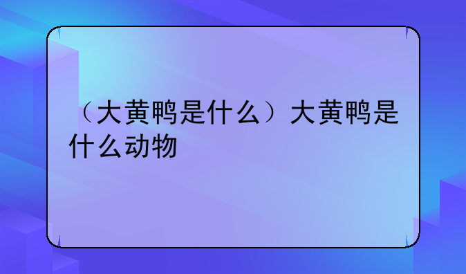（大黄鸭是什么）大黄鸭是什么动物