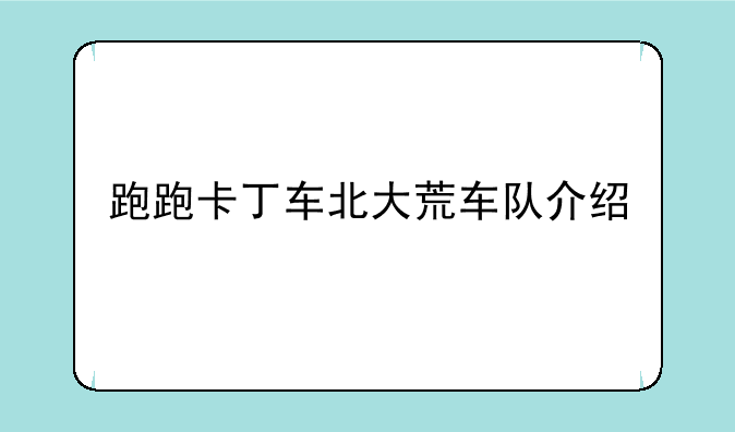跑跑卡丁车北大荒车队介绍