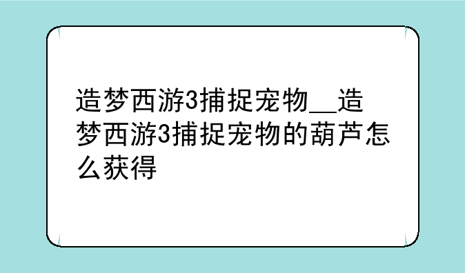 造梦西游3捕捉宠物__造梦西游3捕捉宠物的葫芦怎么获得